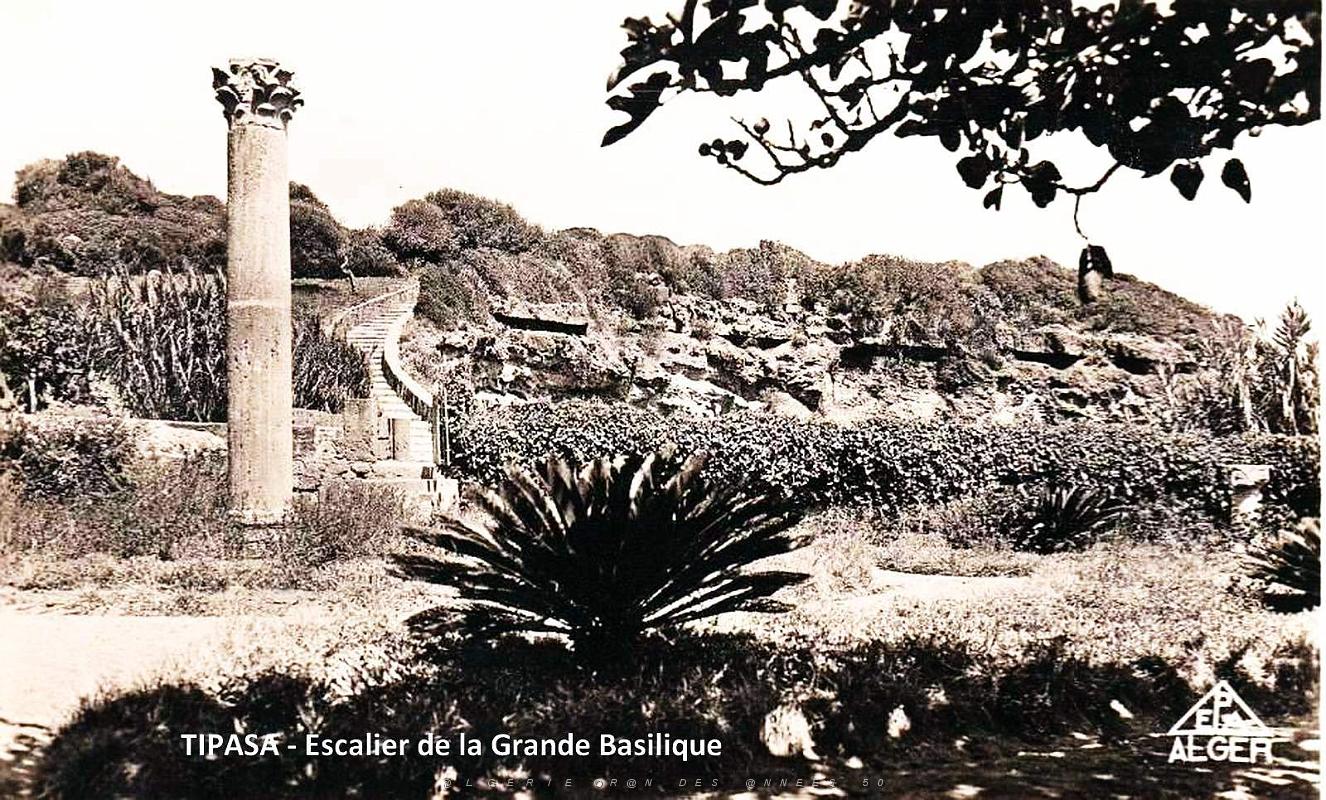Tipasa - Ruines romaines 13.jpg